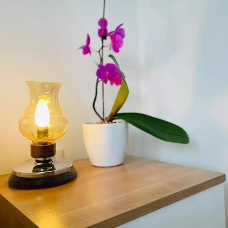 & Draga Apartment *